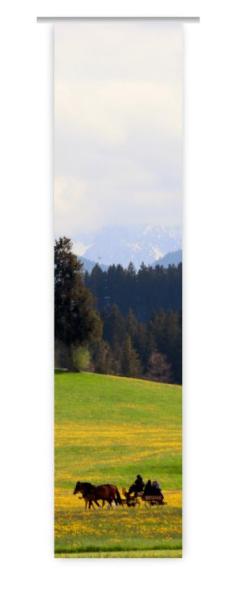 Auf dem Weg, Flächenvorhang Einzel